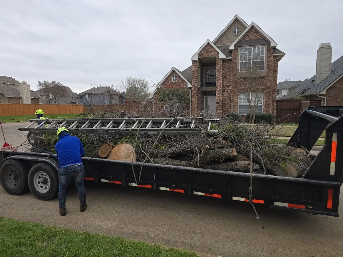 Expert Tree Removal with proper safety equipment in Cumberland